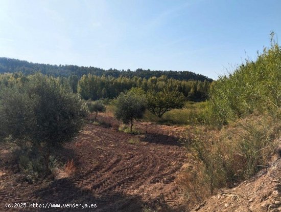 Finca en venta en Torre del Compte (Teruel)