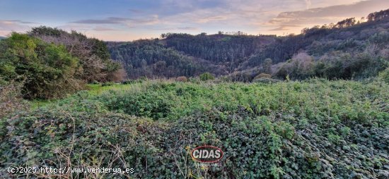  Finca en venta en Siero (Asturias) 