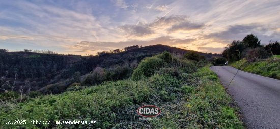 Finca en venta en Siero (Asturias)