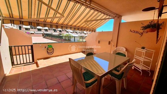  Apartamento en alquiler en Arona (Tenerife) 