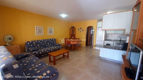 Apartamento en alquiler en Arona (Tenerife)