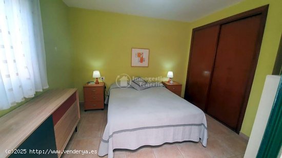 Apartamento en alquiler en Arona (Tenerife)