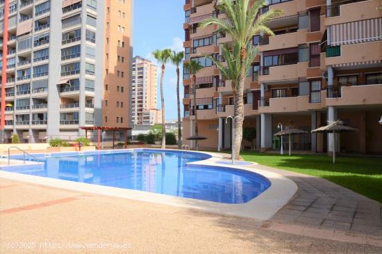  SE VENDE APARTAMENTO DE 2 DORMITORIOS EN ZONA DE HOTEL BALI, BENIDORM! SEVENDGROUP.COM! - ALICANTE 