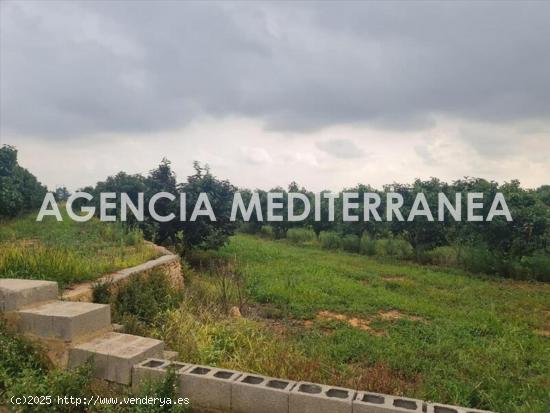 TERRENO EN PICASSENT - VALENCIA