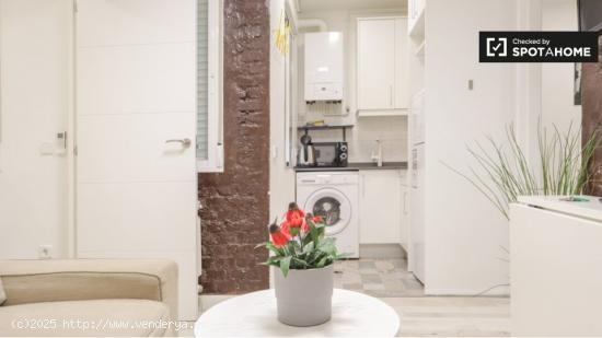 Apartamento de 2 dormitorios en alquiler en Embajadores, Madrid - MADRID