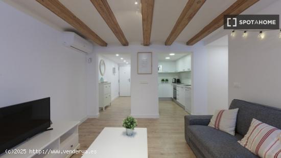 Apartamento totalmente equipado en la calle Joaquín Costa - BARCELONA