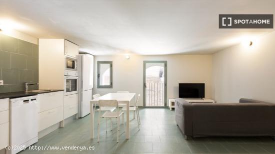 Apartamento entero de 1 dormitorio en Barcelona - BARCELONA