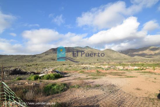  TERRENO RUSTICO CON CASA PARA REFORMAR REF. 208 - MURCIA 