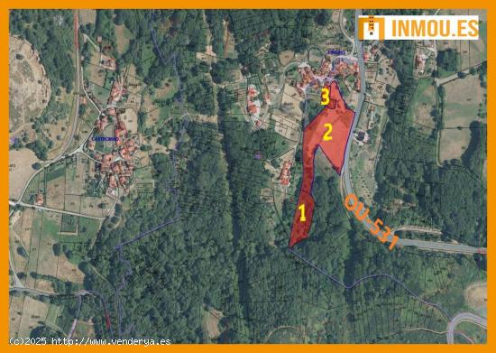  Se venden tres fincas rústicas en A Peza, Celanova - ORENSE 