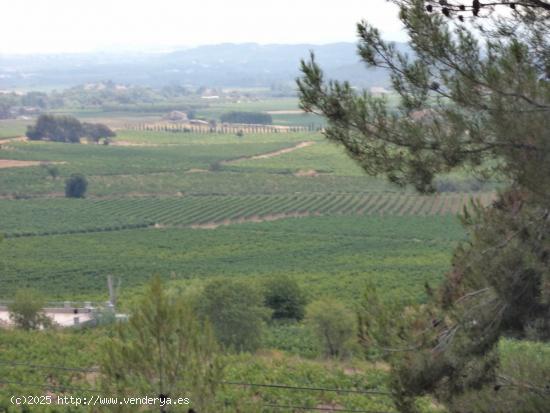  Parcela en venta en Torrelles de Foix - BARCELONA 