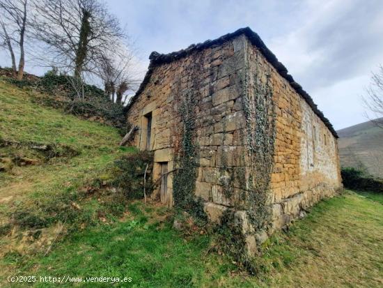 CASA DE PIEDRA DE 200 M2 EN TERRENO DE 8525 M2 PARA REFORMAR.- - CANTABRIA