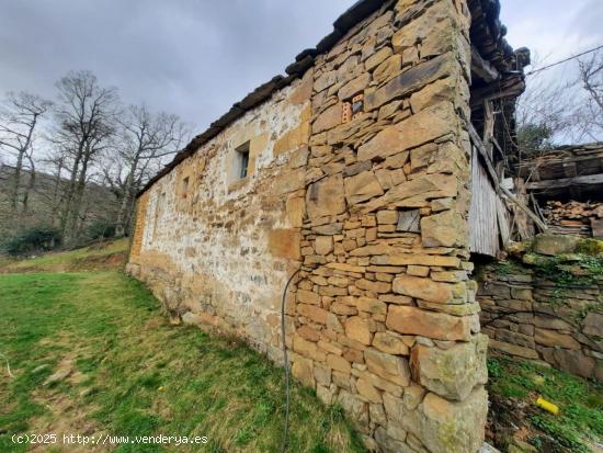 CASA DE PIEDRA DE 200 M2 EN TERRENO DE 8525 M2 PARA REFORMAR.- - CANTABRIA