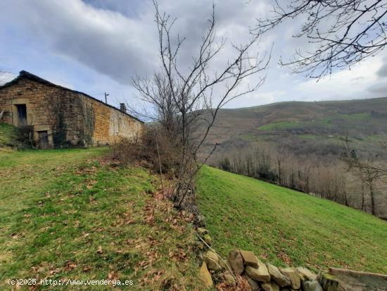 CASA DE PIEDRA DE 200 M2 EN TERRENO DE 8525 M2 PARA REFORMAR.- - CANTABRIA