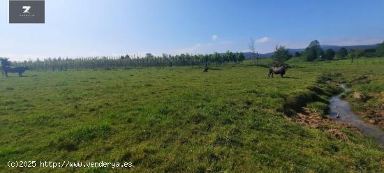 TERRENO URBANO EN VENTA EN MAZCUERRAS - CANTABRIA