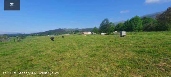 TERRENO URBANO EN VENTA EN MAZCUERRAS - CANTABRIA