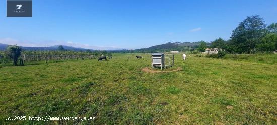 TERRENO URBANO EN VENTA EN MAZCUERRAS - CANTABRIA