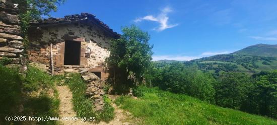  CABAÑA PASIEGA CON FINCA EN SELAYA - CANTABRIA 