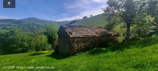 CABAÑA PASIEGA CON FINCA EN SELAYA - CANTABRIA