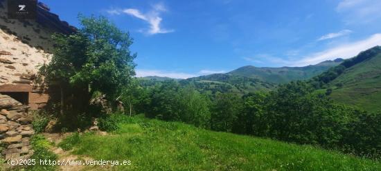 CABAÑA PASIEGA CON FINCA EN SELAYA - CANTABRIA