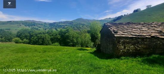 CABAÑA PASIEGA CON FINCA EN SELAYA - CANTABRIA