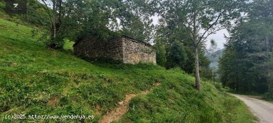  CONJUNTO DE DOS CABAÑAS TIPICAS PASIEGAS - CANTABRIA 