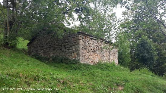 CONJUNTO DE DOS CABAÑAS TIPICAS PASIEGAS - CANTABRIA