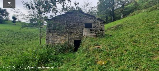 CONJUNTO DE DOS CABAÑAS TIPICAS PASIEGAS - CANTABRIA