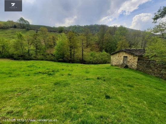 Se Vende en Selaya - CANTABRIA