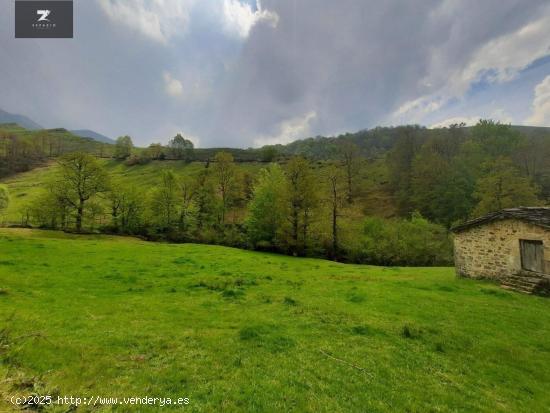 Se Vende en Selaya - CANTABRIA