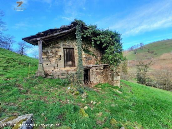  BONITA CABAÑA PARA REFORMAR EN SELAYA - CANTABRIA 