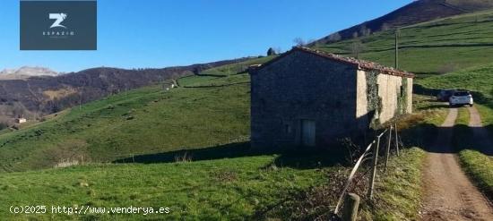  VENTA DE CABAÑA EN VILLACARRIEDO - CANTABRIA 