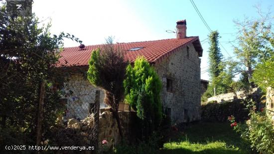 VENTA DE DOS CASAS PAREADAS EN CORVERA DE TORANZO - CANTABRIA