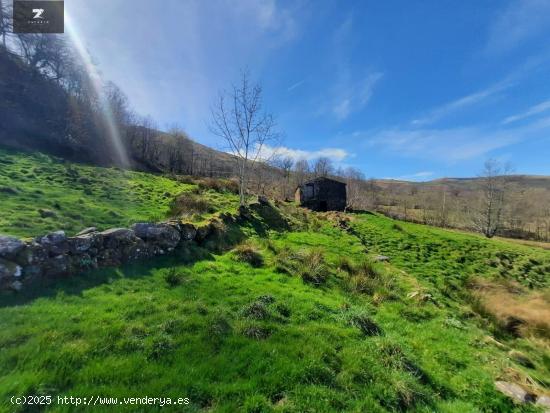 CABAÑA PASIEGA Y FINCA EN SAN ROQUE DE RIOMIERA - CANTABRIA