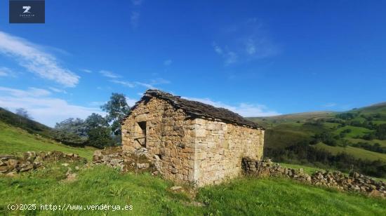  CABAÑA CON FINCA EN VENTA EN SELAYA - CANTABRIA 