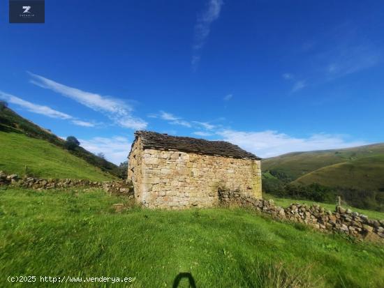 CABAÑA CON FINCA EN VENTA EN SELAYA - CANTABRIA