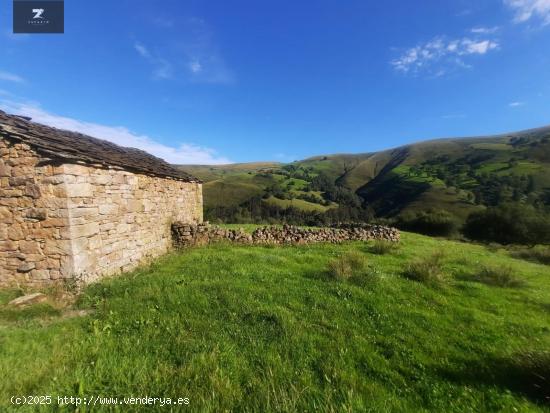 CABAÑA CON FINCA EN VENTA EN SELAYA - CANTABRIA