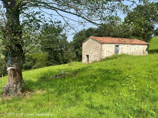  CONJUNTO DE DOS CABAÑAS PASIEGAS CON FINCA EN VILLACARRIEDO - CANTABRIA 