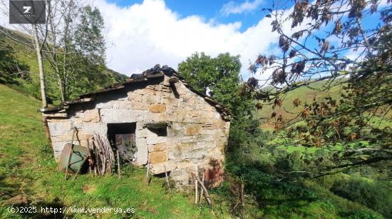 CABAÑA PASIEGA INDEPENDIENTE EN SAN ROQUE DE RIOMIERA - CANTABRIA