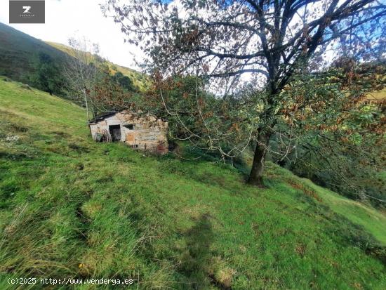 CABAÑA PASIEGA INDEPENDIENTE EN SAN ROQUE DE RIOMIERA - CANTABRIA