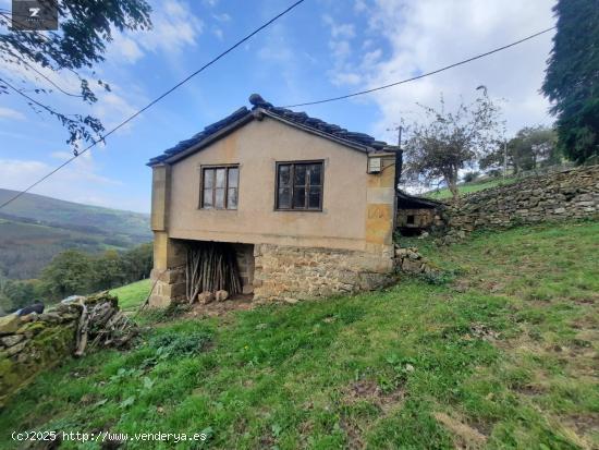  FINCA RÚSTICA CON CABAÑA PASIEGA EN SAN PEDRO DEL ROMERAL - CANTABRIA 