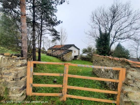  CABAÑA PASIEGA CON FINCA EN VALLES PASIEGOS - CANTABRIA 