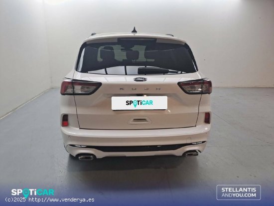 Ford Kuga   1.5T EcoBoost 110kW (150CV) ST-Line - Sevilla