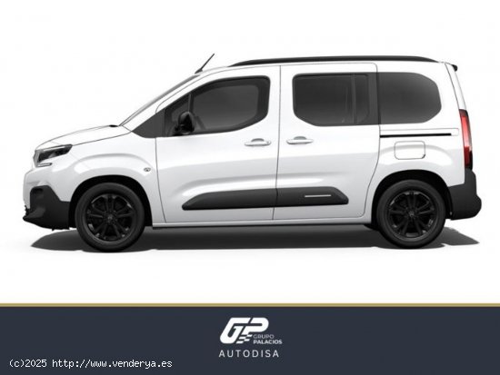 Citroën ë-Berlingo Talla M ë-Berlingo 50 kWh SHINE - Camins al Grau