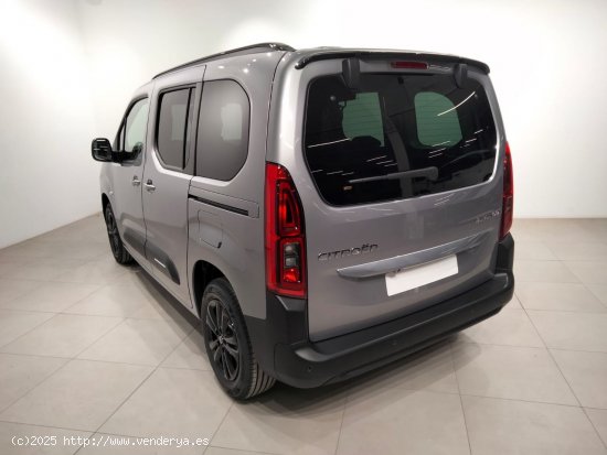 Citroën Berlingo Talla M BlueHDi 130 S&S MAX - Álava