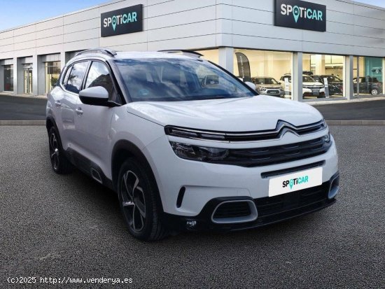 Citroën C5 Aircross  BlueHdi 96kW (130CV) S&S EAT8 Feel - Xàtiva