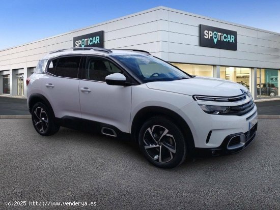 Citroën C5 Aircross  BlueHdi 96kW (130CV) S&S EAT8 Feel - Xàtiva