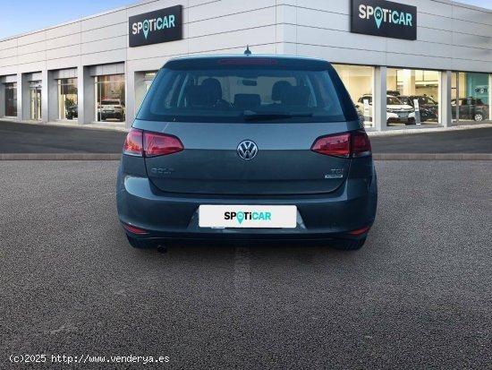 Volkswagen Golf   1.6 TDI 85kW (115CV) Edition - Xàtiva