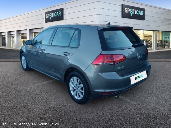 Volkswagen Golf   1.6 TDI 85kW (115CV) Edition - Xàtiva