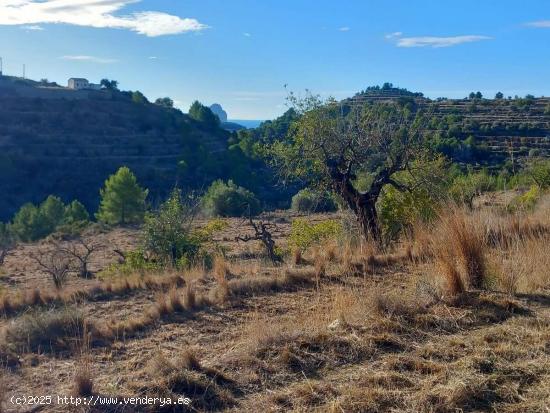  ▷Parcela rústica libre de construcción en Benissa, Costa Blanca. - ALICANTE 