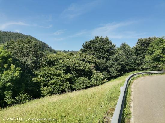 Terreno edificable en Lloreda de Cayon - CANTABRIA